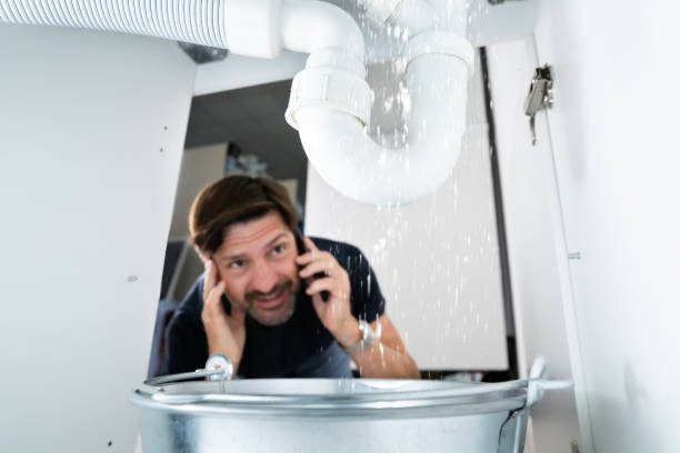 Best Clogged Drain Plumber  in Yale, MI