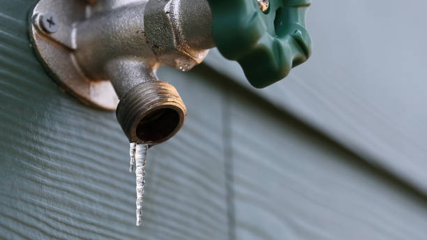 Best Leak Detection Services  in Yale, MI